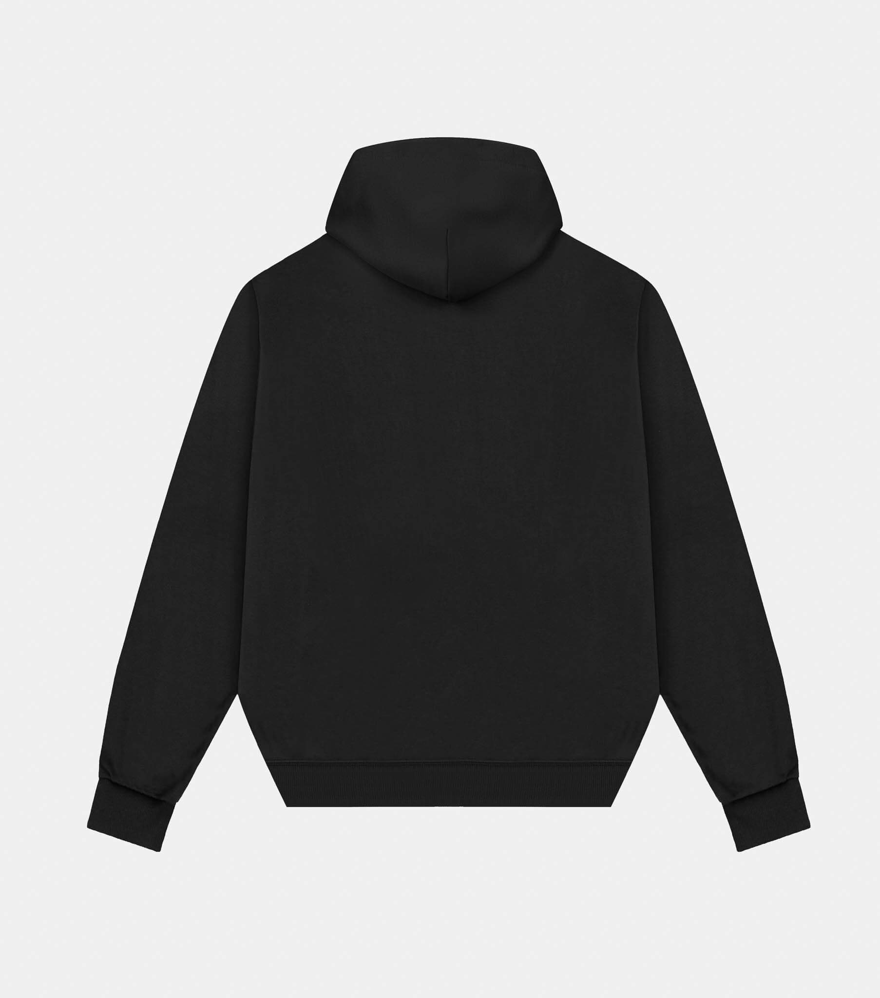Loose Fit Printed hoodie - Dark brown/Himālaya - Men